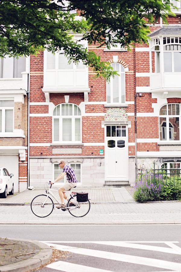 Des Roses 3* Hasselt